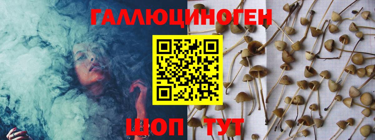 Галлюциногенные грибы Psilocybine cubensis  Вход с VPN  Беслан  Псилоцибиновые грибы Psilocybe 